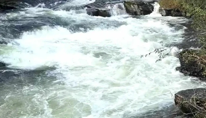 Voss Active -  Videoer - Skulestadmo