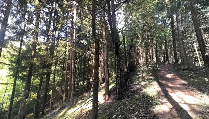 Voss Jeger -   Og Fiskarlag   Skjerve Elg  Og Leirduebane Street View 360deg - Voss