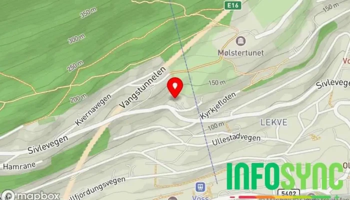 kart over Voss Vekter og Sikringsteneste AS Vektertjeneste i Vossevangen