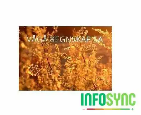 Vågå Regnskap Sa - Vågå