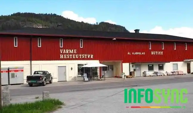 Ål Kjøpelag - Ål