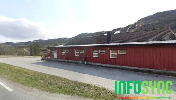 Ål skisenter - Ål