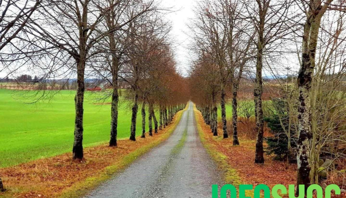 Ås - Ås